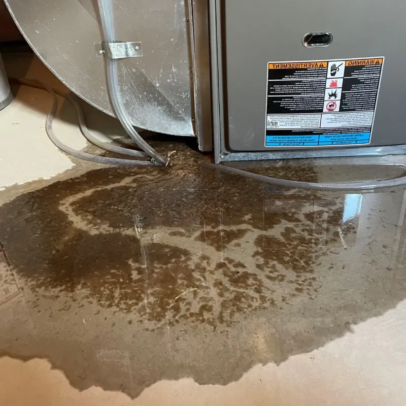 Pipe Burst and Leak Restoration in Wiscasset, ME
